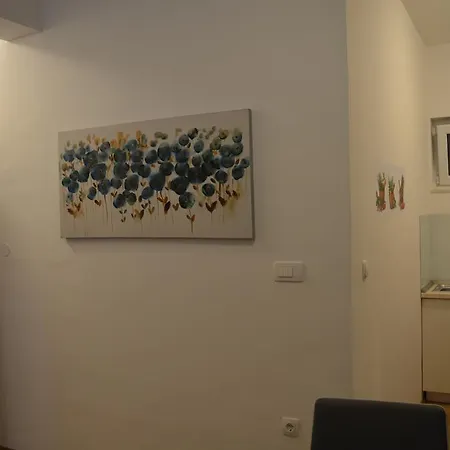 Svjetlana Apartament *